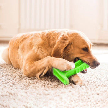 Dog Toys Brushing Stick Dog Brush Effective Toothbrush for Dogs Pets Oral Care Dog Brushing Stick cute